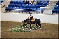 4H-State-2016-0696.jpg