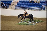 4H-State-2016-0697.jpg