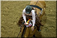 4H-State-2016-0731.jpg