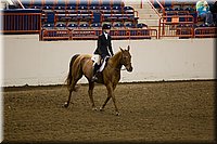 Equitation