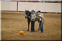 Showmanship-Western