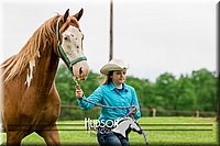 4H-1st--062317-0024.jpg