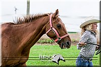 4H-1st--062317-0057.jpg