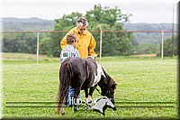 4H-1st--062317-0071.jpg