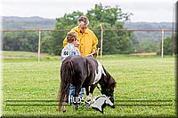 4H-1st--062317-0072.jpg