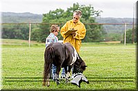 4H-1st--062317-0073.jpg