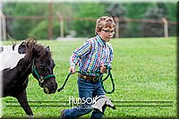 4H-1st--062317-0075.jpg