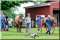 4H-1st--062317-0121.jpg