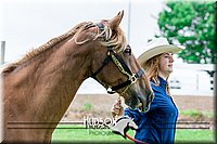 4H-1st--062317-0145.jpg