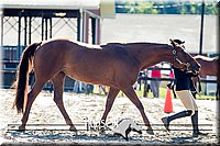 4H-1st--062417-1282.jpg