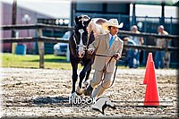 4H-1st--062417-1416.jpg