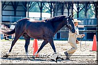4H-1st--062417-1417.jpg