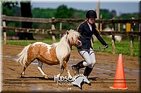 4H-1st--062417-1608.jpg