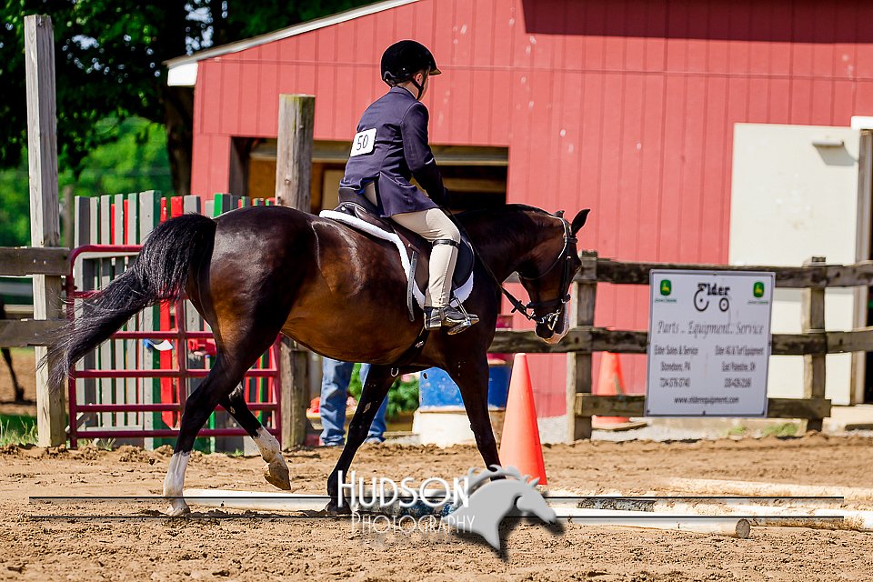 4H-1st--062417-1733.jpg