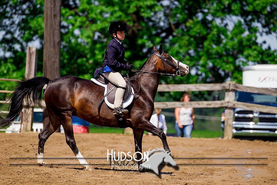 4H-1st--062417-1737.jpg