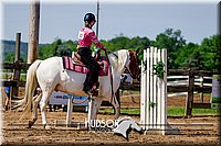 4H-1st--062417-1746.jpg