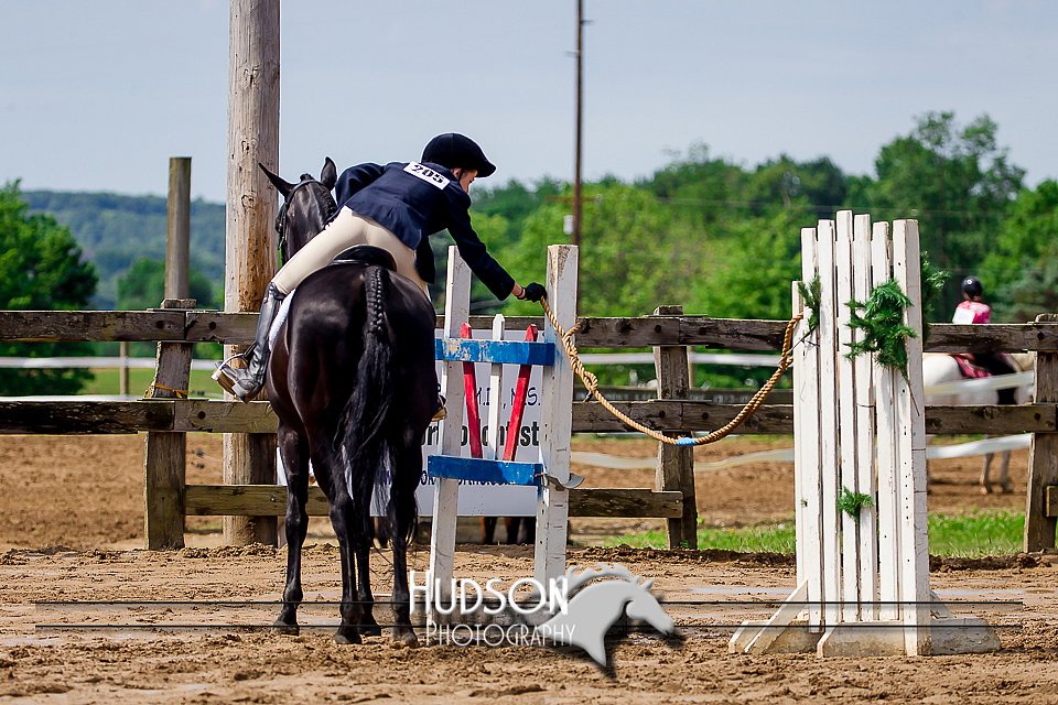 4H-1st--062417-1817.jpg