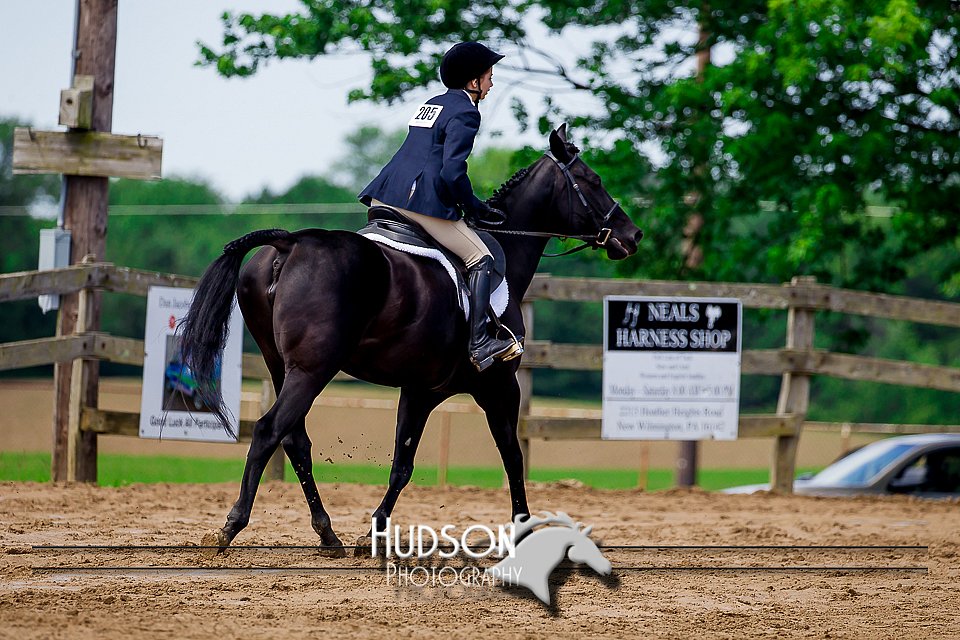 4H-1st--062417-1823.jpg