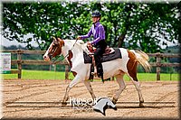 4H-1st--062417-2140.jpg