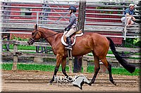 4H-1st--062417-2286.jpg