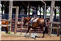 4H-1st--062417-2340.jpg