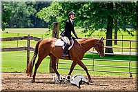 4H-1st--062417-2462.jpg