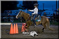 15. Raised Box Keyhole Ponies Sr. Rider