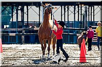 23. Western Grooming & Showmanship - Jr. Division