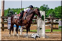 32. Open Trail Ponies