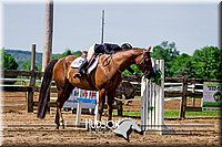 33. Open Trail Horses, Jr. Rider