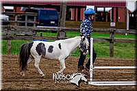 51. Mini Horse Jumping