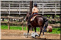 52. Working Western Horse or Pony