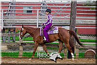 55. Western Pleasure Horses, Jr. Rider