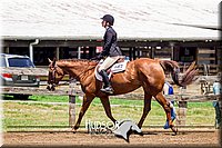 63. Breed Type HUS Horses - Jr. Rider