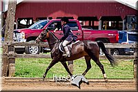 64. Hunter Under Saddle Ponies Large