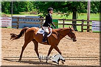 70. Hunter Seat Equit - Intermediate