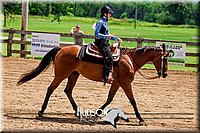 74. Western Horsemanship, Intermediate