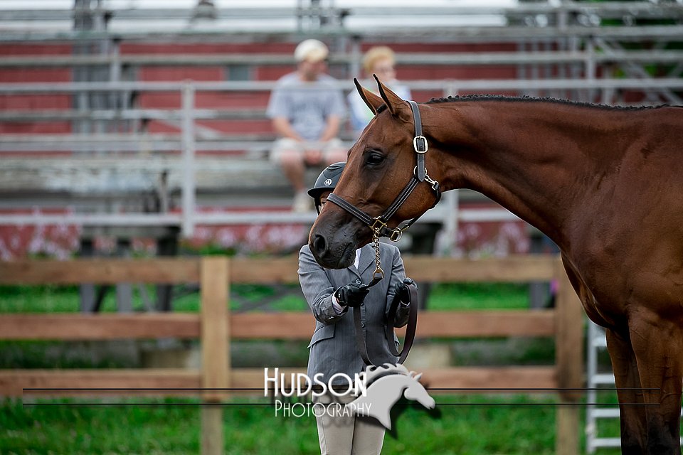 4H-2nd-071517-1467.jpg