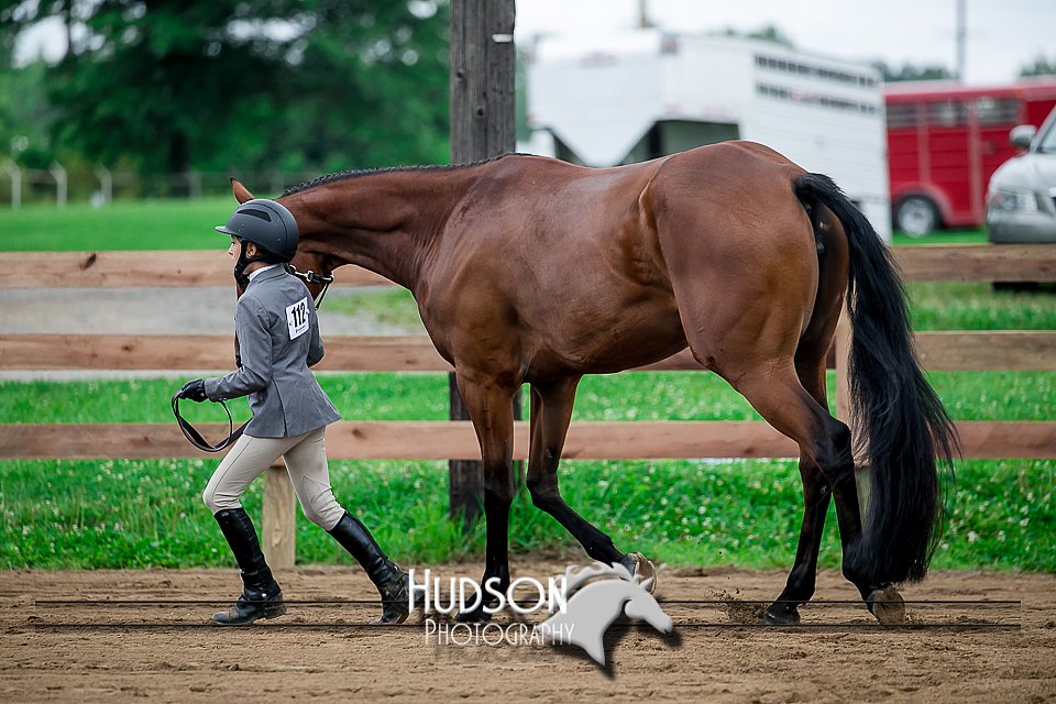 4H-2nd-071517-1471.jpg