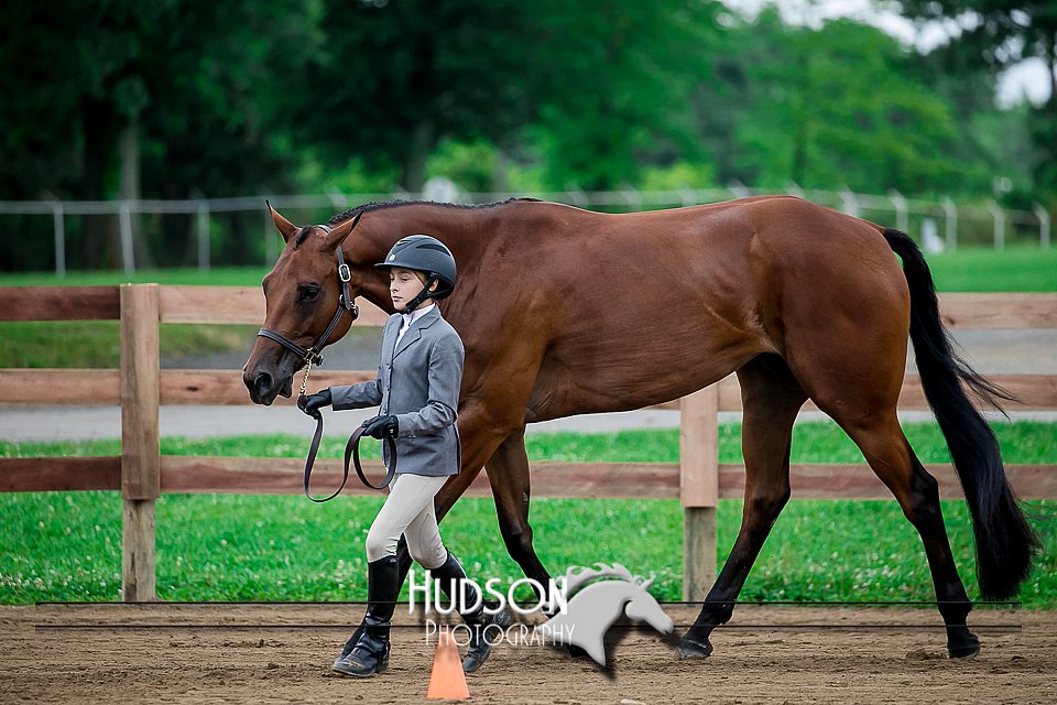 4H-2nd-071517-1472.jpg