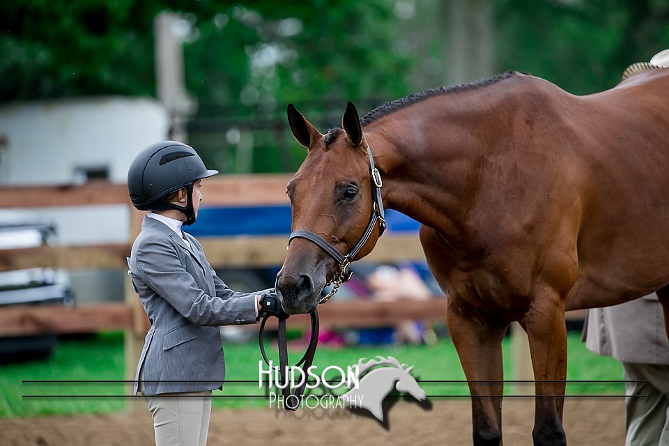 4H-2nd-071517-1479.jpg