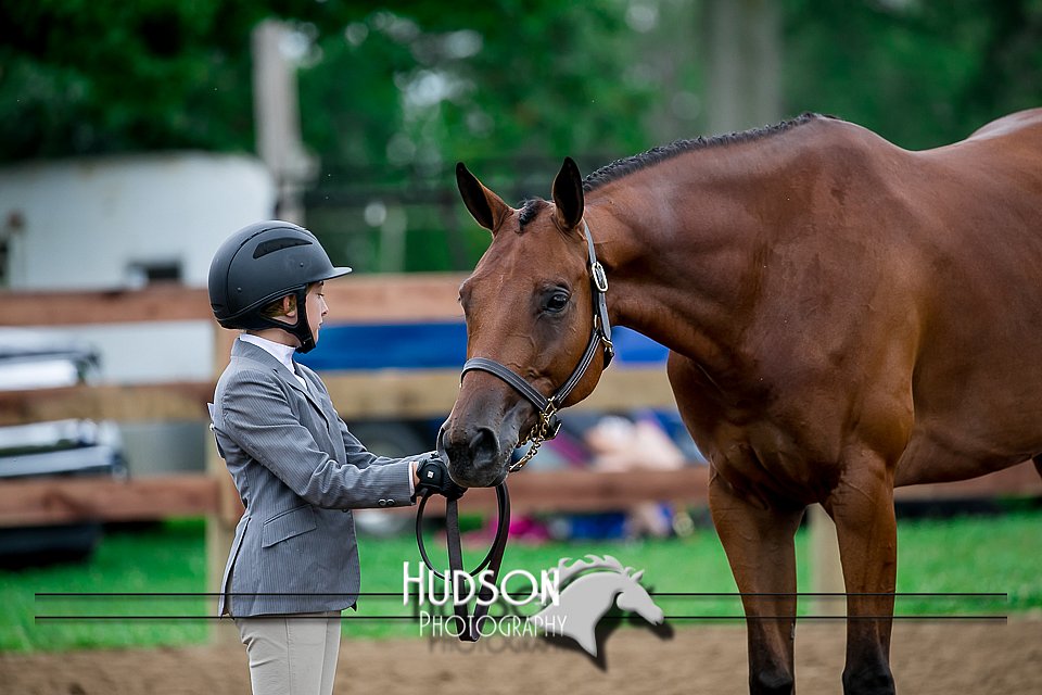 4H-2nd-071517-1480.jpg