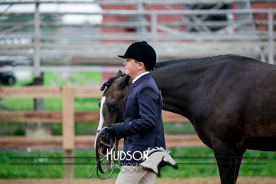 4H-2nd-071517-1482.jpg