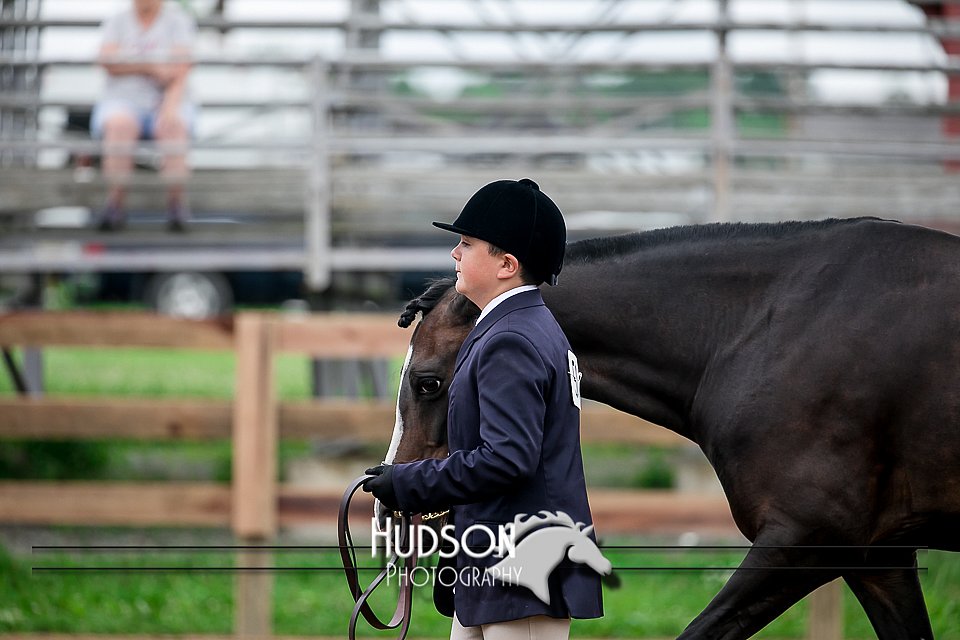 4H-2nd-071517-1483.jpg