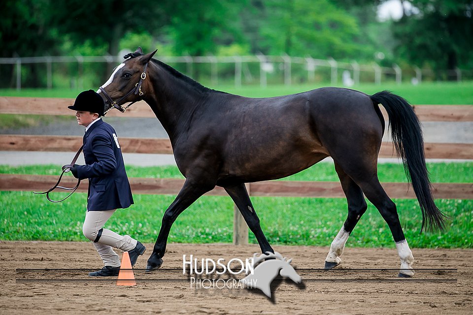 4H-2nd-071517-1484.jpg