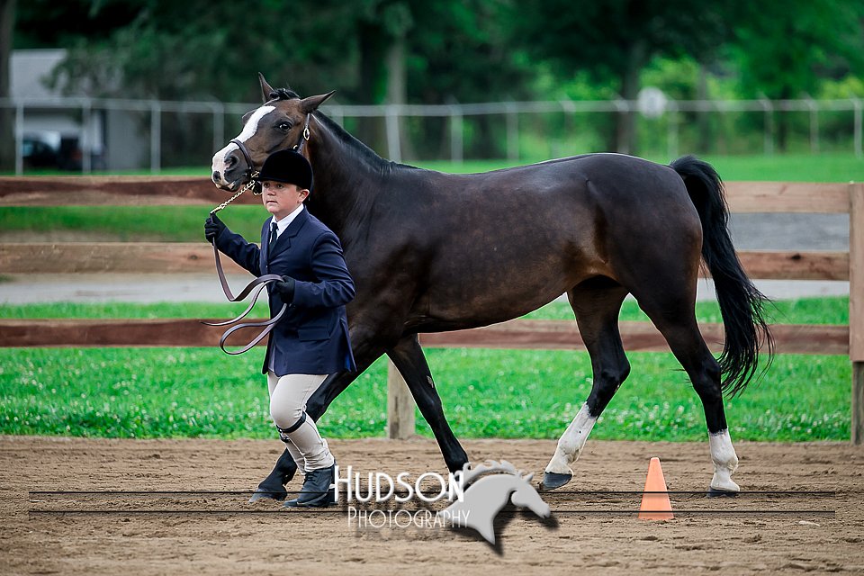 4H-2nd-071517-1485.jpg