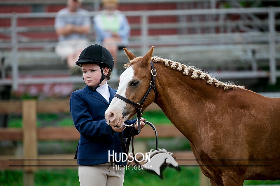 4H-2nd-071517-1493.jpg