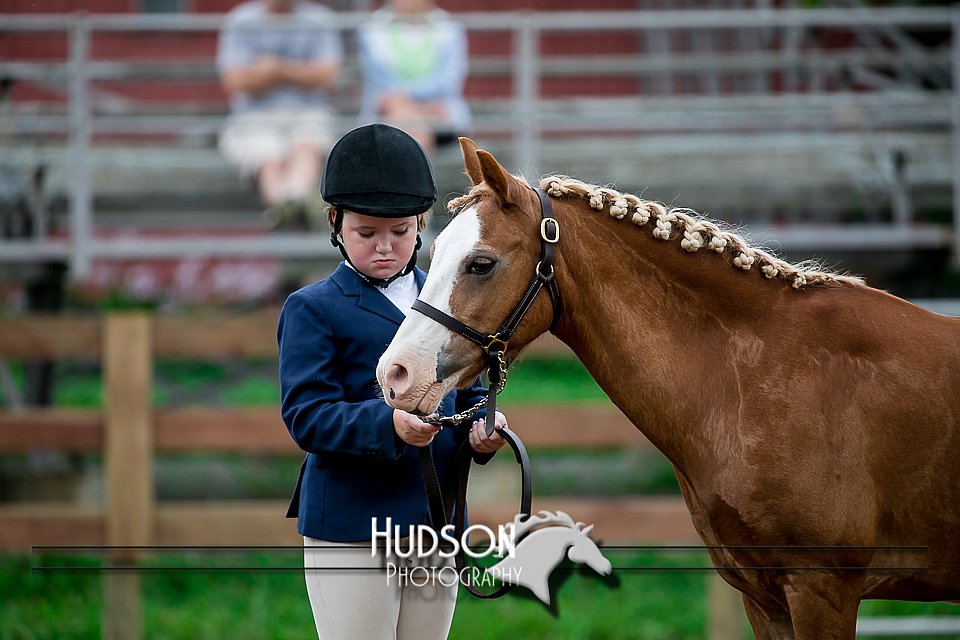 4H-2nd-071517-1495.jpg