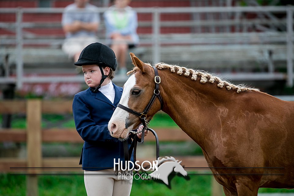 4H-2nd-071517-1496.jpg