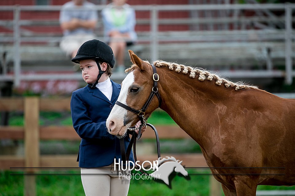 4H-2nd-071517-1497.jpg